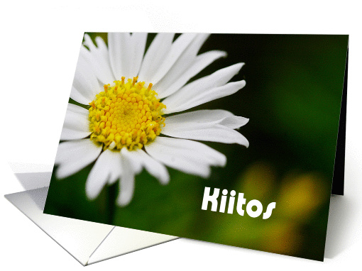 Kiitos means Thank you in Finnish - Close up of white daisy card