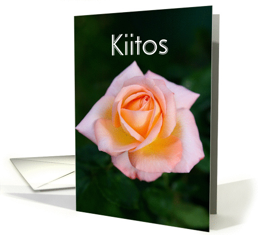 Kiitos means Thank you in Finnish - Close up of peach color rose card