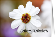 Salam Takziah - white daisy card