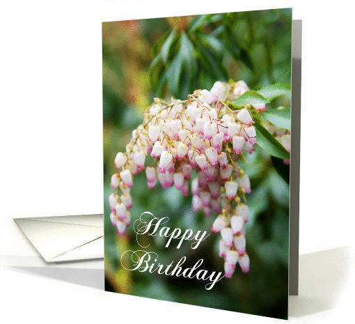 Happy Birthday - white pinkish flower card (848117)