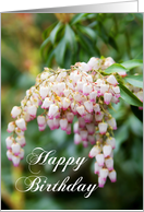 Happy Birthday - white pinkish flower card