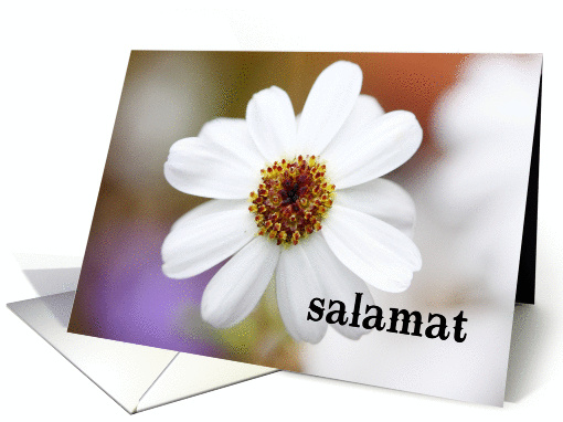 Salamat means Thank you in Filipino - White daisy card (850354)
