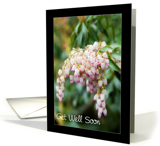 Get Well Soon - white flowers card (852918)