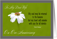 To My dear Wife on our anniversary - white daisy card