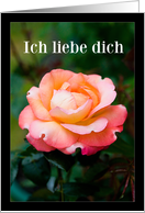 I Love you in German Ich liebe dich - Orange Rose card