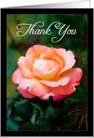 Thank you friend - orange rose card
