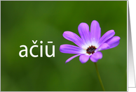 Thank you in Slovenian ai Purple Daisy card