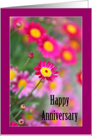 Happy Anniversary - Pink daisy card