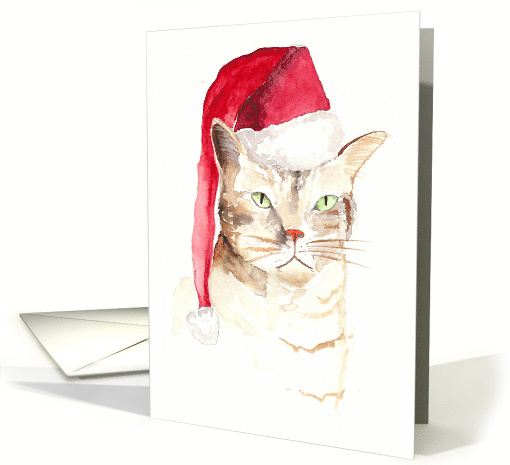 Merry Christmas from the Not Very Happy Cat card (1161962)