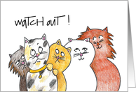 Cute and Funny Cats Wishing Anyone a Happy Birthday card
