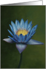 Love for Lotus, a flower painting by Adam Thomas card