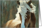 Sundance Horse Painting card