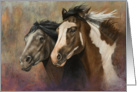 Pinto Horse Painting card