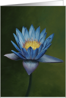 Love for Lotus, a flower painting by Adam Thomas card