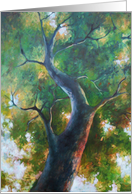 In the Trees card