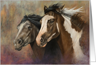 Pinto Horse Painting