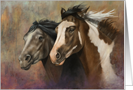 Pinto Horse Painting card