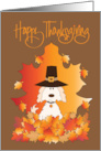 Thanksgiving from Pet Dog with Pilgrim Hat and Colorful Fall Leaves card