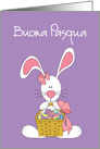 Buona Pasqua con coniglietto e cesto di uova card