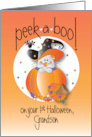 First Halloween Peek-a-Boo for Grandson Mouse in Witch’s Hat card