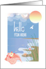 Hello from Miami with Conch Seashell on Sandy Beach in Sunlight card