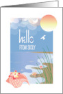 Hello from Sicily Italy with Conch Seashell on Sandy Beach in Sunlight card