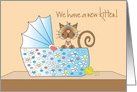 New Kitten Announcement, Kitten in Floral Bassinette card