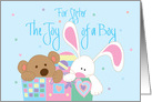 New Baby for Sister, Joy of a Boy with Toybox with Bear and Bunny card