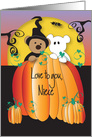 Halloween for Niece, Goblin and Witch Bear in Huge Pumpkin card