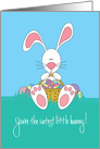 Easter for Kids, Cutest Bunny with Basket and Colored Eggs card