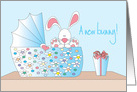Congratulations on new Bunny, Bassinette with Bunny card