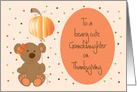 Thanksgiving Beary Cute Granddaughter, Bear & Pumpkin Balloon card