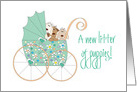 Congratulations on your new Puppy Litter, Stroller with Puppies card
