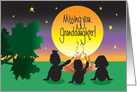 Missing You Granddaughter at Camp, Campers at Campfire card