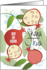 Rosh Hashanah for Sister and Husband Shana Tova with Pomegranates card