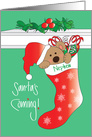 Christmas for Nephew, Santa Bear in Snowflake Covered Stocking card