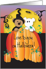 Halloween with Pumpkin Peeking Bears, Love to You card