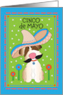 Cinco de Mayo Dog in Sombrero with Moustache and Spanish Pattern card