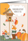 Thanksgiving Birthday Wishes with Birdhouse, Pumpkins and Flowers card