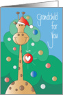 Christmas for Grandchild, Giraffe Holding Ornament in Santa Hat card