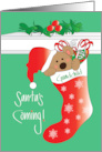 Christmas for Grandchild with Santa’s Coming Santa Bear in Stocking card