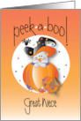 Halloween for Great Niece Black Cat and Jack O’ Lantern in Witch Hat card