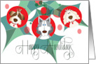 Christmas from Pet Dog Happy Howlidays Holly Leaves and Dog Trio card