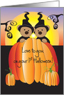 Halloween for Twins, Duplicate Peeking Bear Witches in Pumpkin card