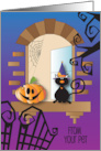 Halloween from Pet to Someone Away at College with Cat in Window card