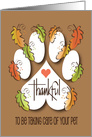 Thanksgiving from Veterinarian, Thankful with Paw Prints & Leaves card