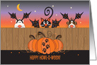 Happy Halloween, Two Dogs and A Cat at Fence Howl-o-ween card