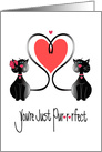 Hand Lettered You’re Just Pur-r-rfect, Two Cats with Heart Tails card