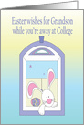 Easter for Grandson Away at College, Bunny in Window with Egg card