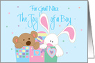 New Baby Boy Congratulations for Great Neice, The Joy of a Boy card
